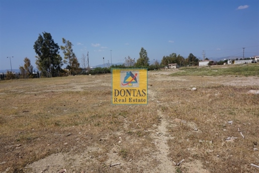 (For Sale) Land Industrial Plot || West Attica/Aspropyrgos - 10.000 Sq.m, 2.000.000€