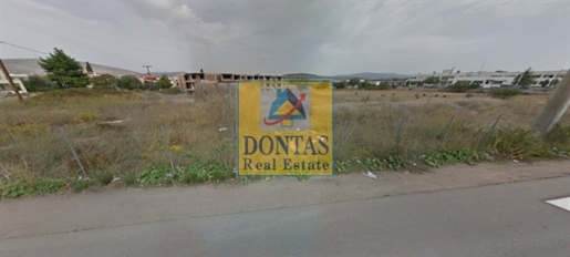 (For Sale) Land Plot || Evoia/Chalkida - 3.880 Sq.m, 2.100.000€