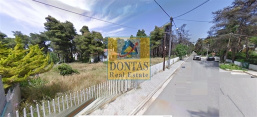 (For Sale) Land Plot || East Attica/Drosia - 4.135 Sq.m, 2.400.000€