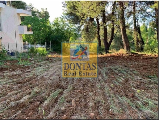 (For Sale) Land Plot || East Attica/Dionysos - 800 Sq.m, 365.000€