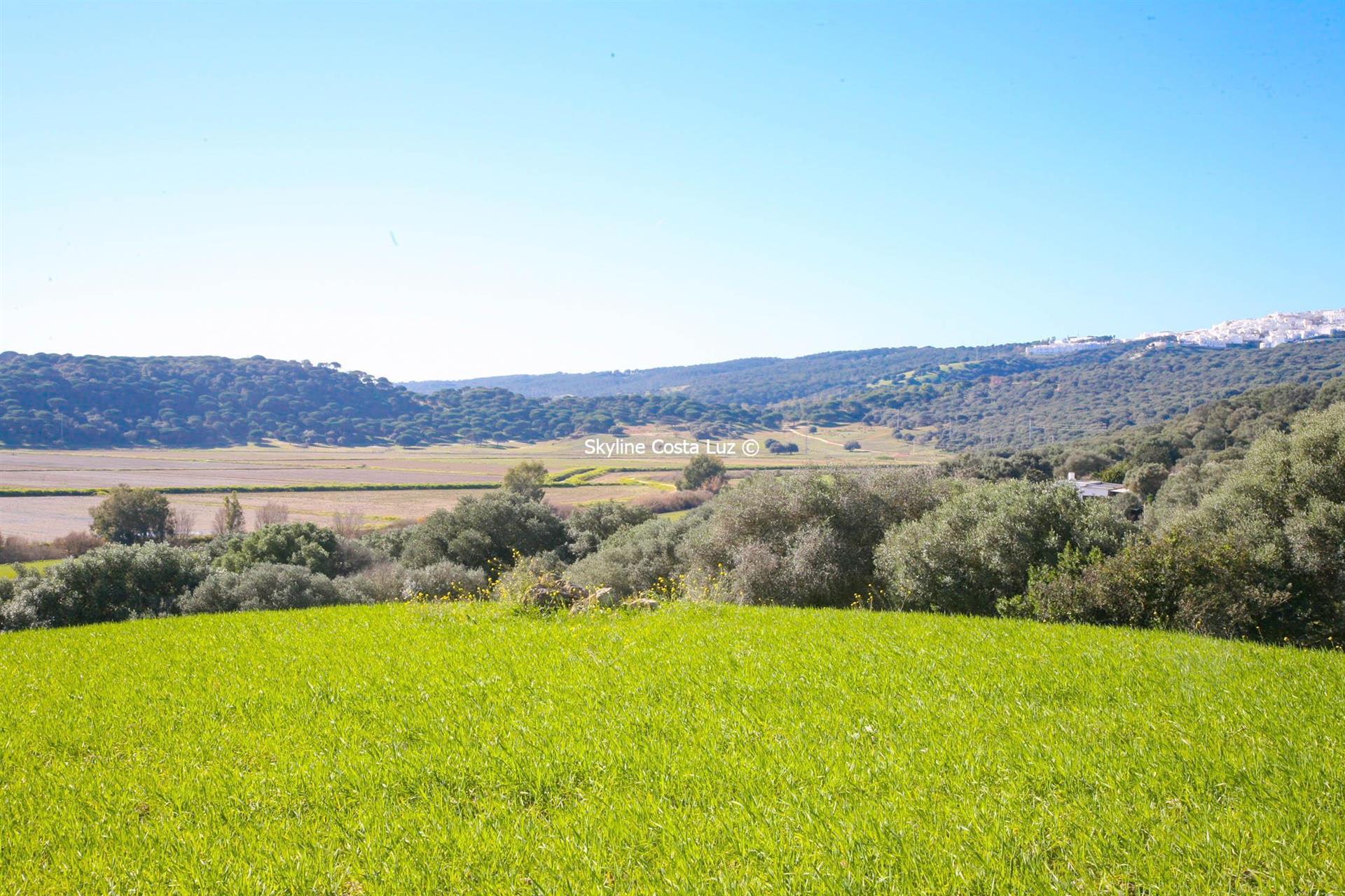 Purchase: Land (11150)