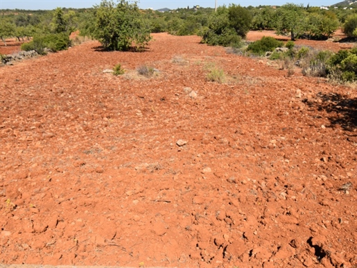 Rustic land is sold in Alcaria cova council of Faro