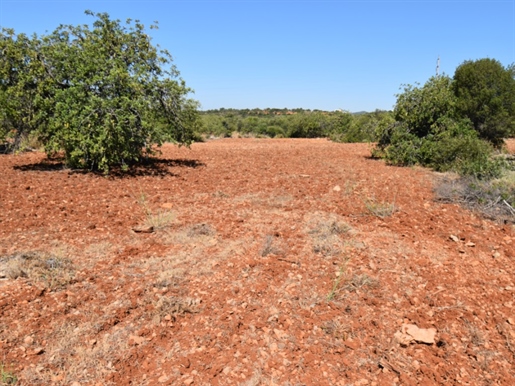 Rustic land is sold in Alcaria cova council of Faro