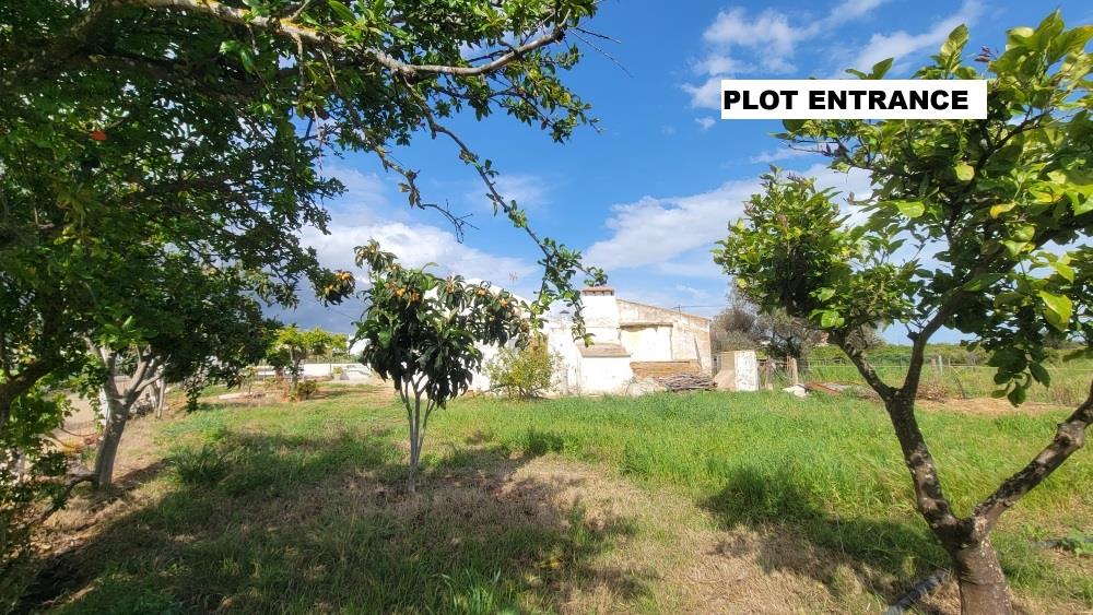 Logement à Fonte Santa