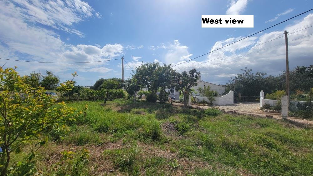 Logement à Fonte Santa