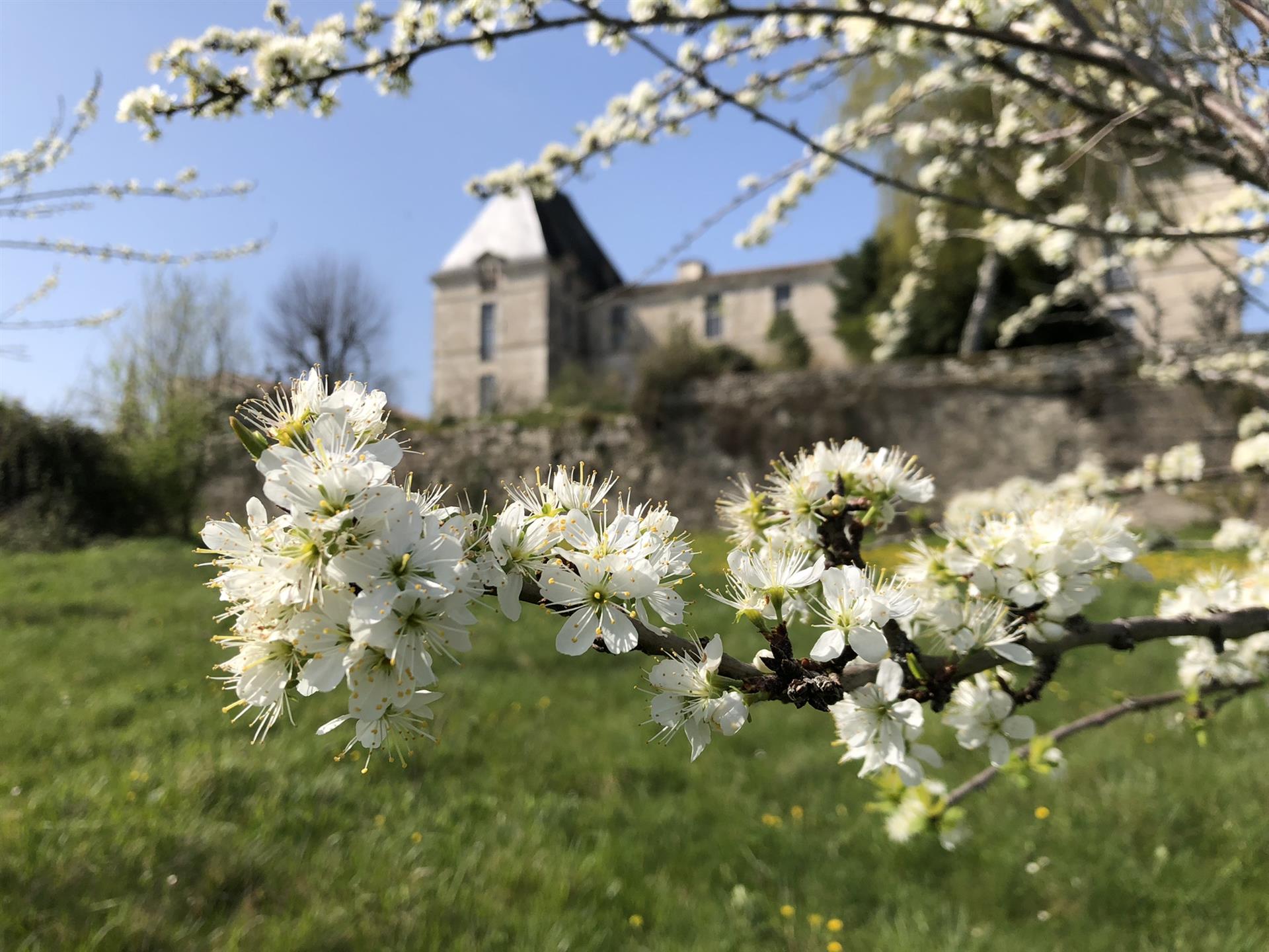 Beautiful part of a 16th century castle in the Dordogne