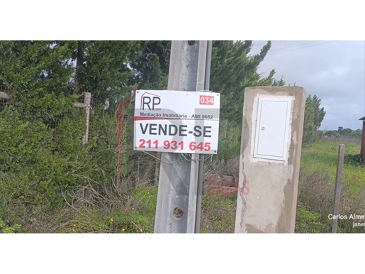 Advert picture