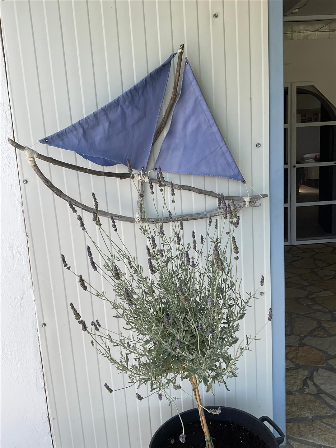 Medzi Sivotou a Vasilikim