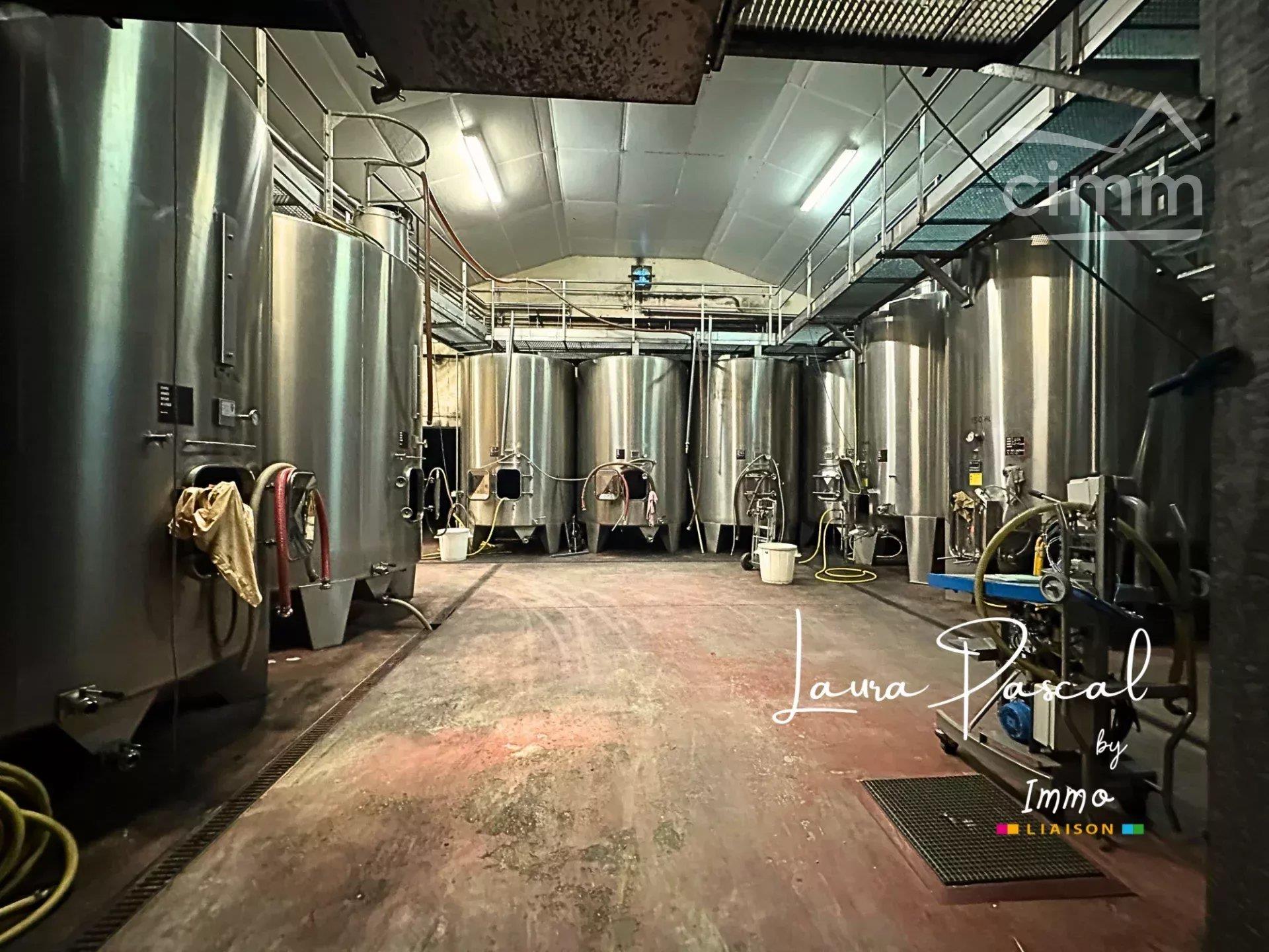 Wine-Growing estate in the north of Blayais
