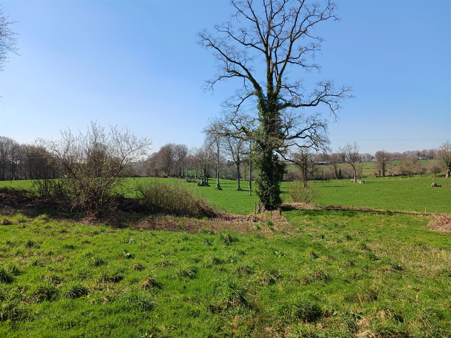 Vacker bondgård totalrenoverad