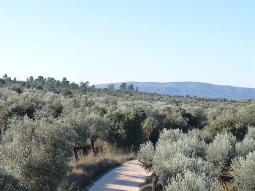 Property, with 5.5 ha in the Borba region, for sale, in a state of pure nature