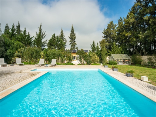 Große Villa mit Garten und Oscina in Pinhal Novo