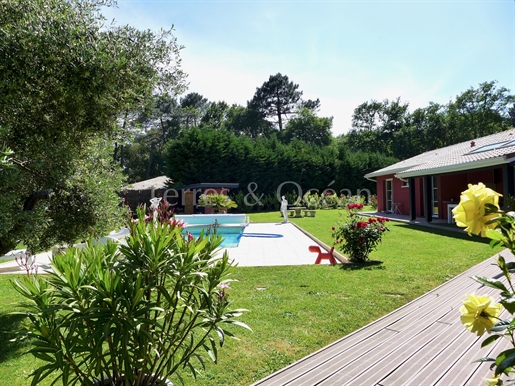 Tres Belle Villa Contemporaine Avec Piscine Proche Hossegor