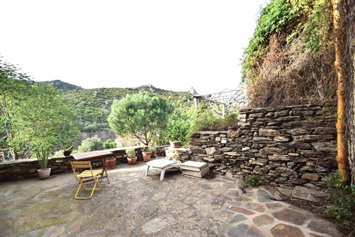 Typique Mas en pierre du 17ème sur les hauteurs de Collioure de 120m2 habitable + terrasses et cave