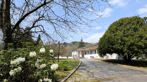 Villa singola di 320 m2 a Camaiore