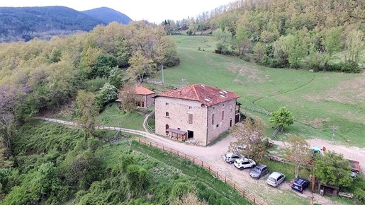 Maison de campagne / Cour de 950 m2 à Pratovecchio Stia