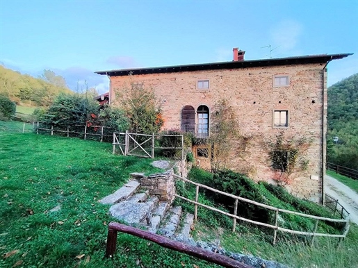Landhaus / Hof von 950 m2 in Pratovecchio Stia