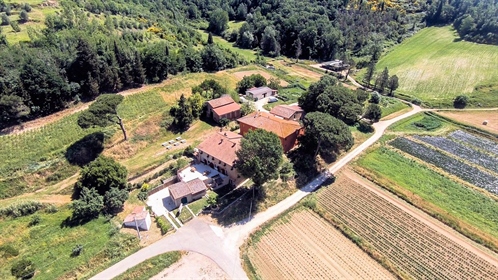 Maison de campagne / ferme / cour de 1200 m2 à San Miniato