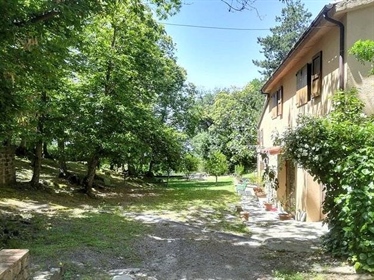 Ländliches/Bauernhaus/Innenhof von 500 m2 in Roccastrada