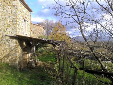 Maison de campagne/ferme de 677 m2 à Montieri
