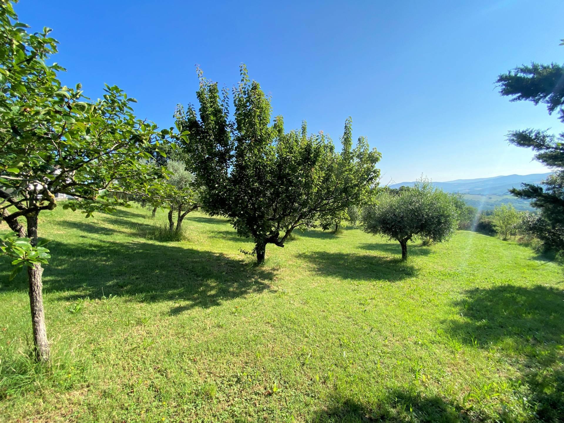 Purchase: House (56041)