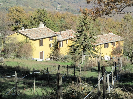 Rural/Ferme/Cour de 691 m2 à Montieri