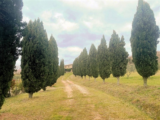 Bauernhaus/Hof von 300 m2 in Castelnuovo di Val di Cecina