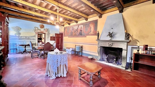 Vrijstaande villa van 800 m2 in Capannori