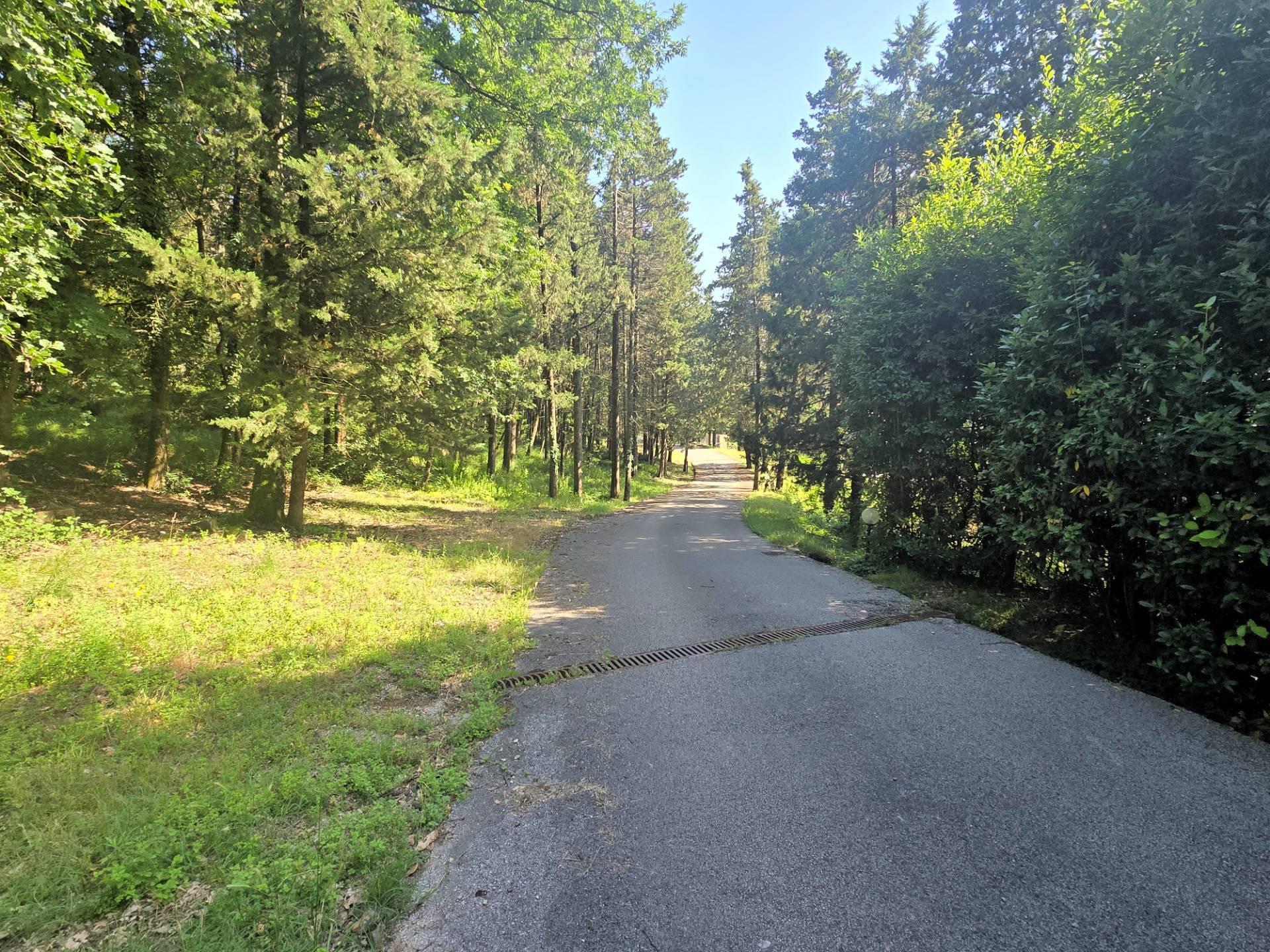 Purchase: House (59013)