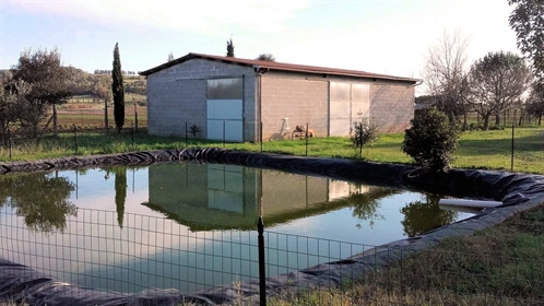 Сельская местность/Фермерский дом/Двор 230 m2 в Gavorrano