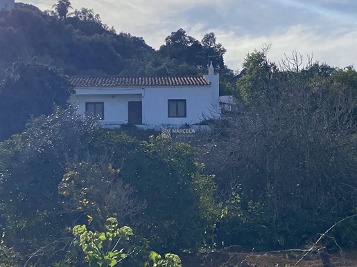 Rural Property With Habitable Old House, In Falfeira In Lagos