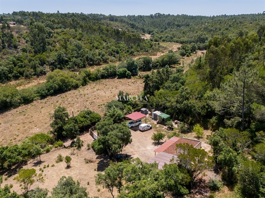 Small Rural House Located In Nature, Sao Teotonio