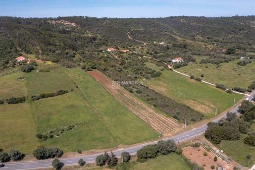 Rustic Land With Vineyard, Alfambras, Aljezur