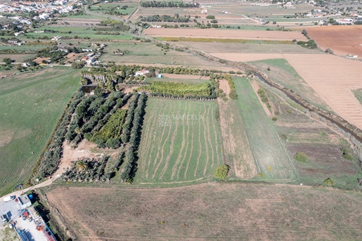 קרקע כפרית למטרות חקלאיות, Odiáxere