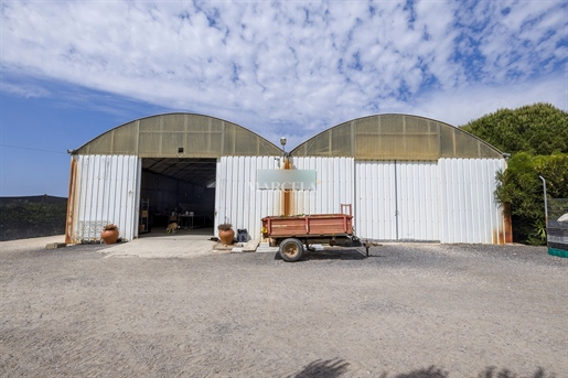 Empresa Agrícola Para Venda No Parque Natural