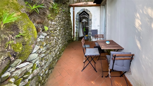 Elegante Wohnung mit privatem Garten in historischer Villa