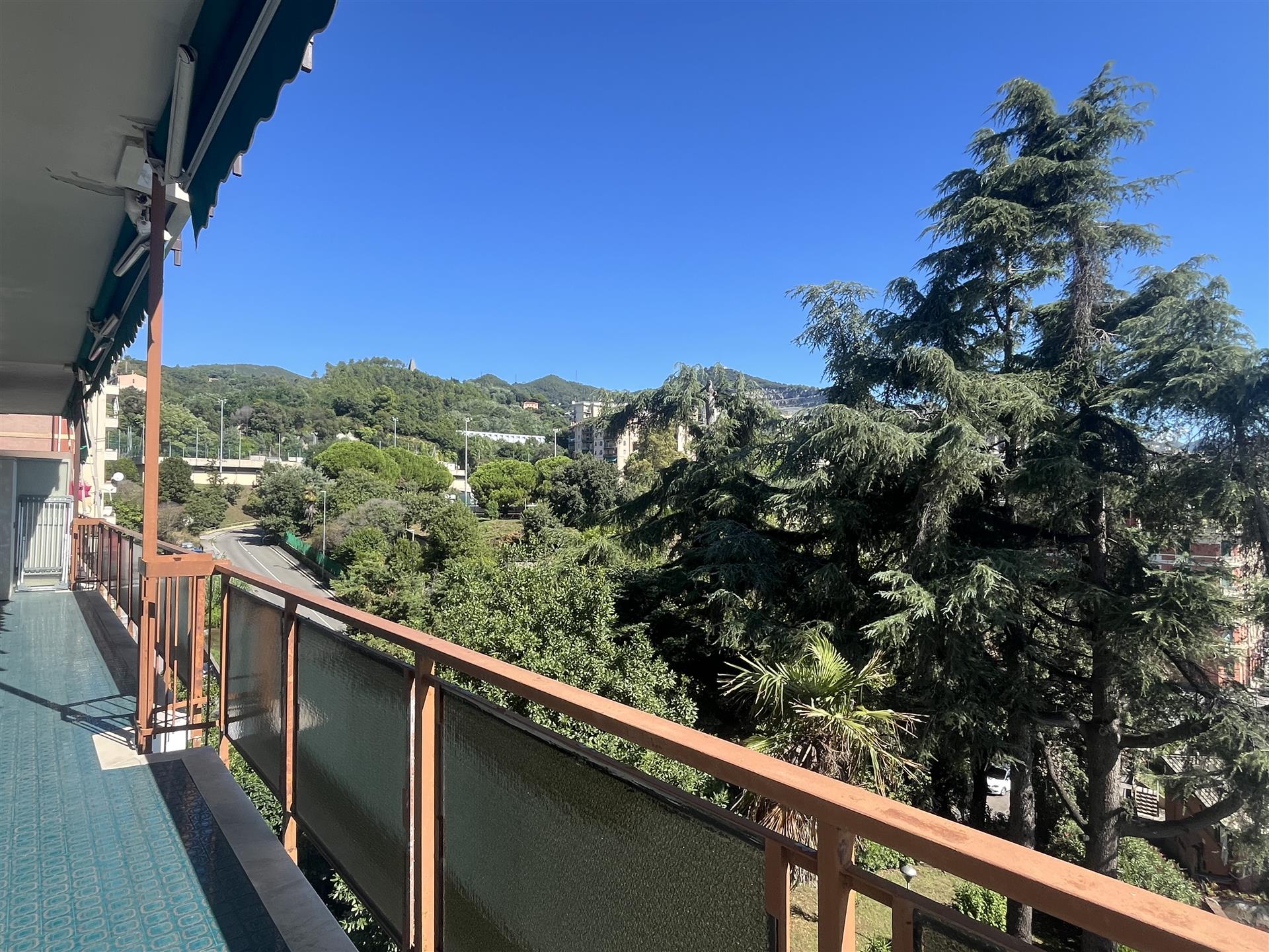 Via Castagnevizza 