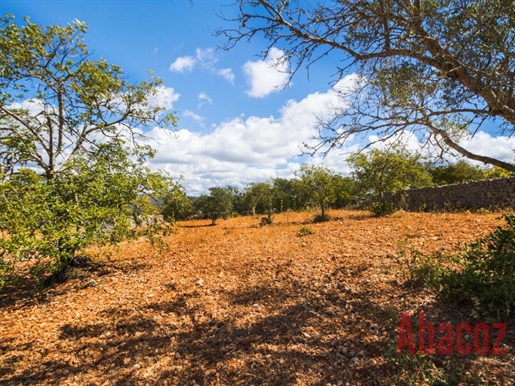 Agricultural Land Near Loulé