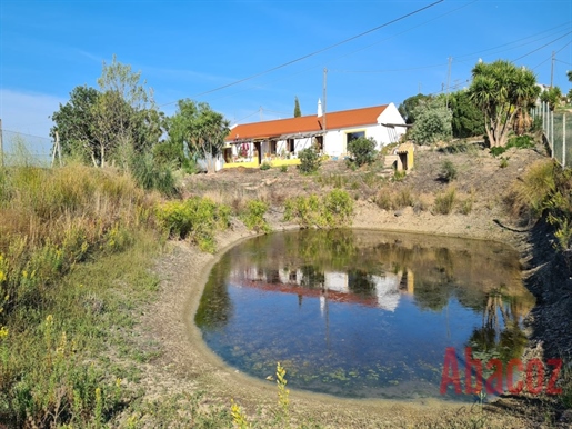 Charming 3 Bedroom Villa With Pool And Garden