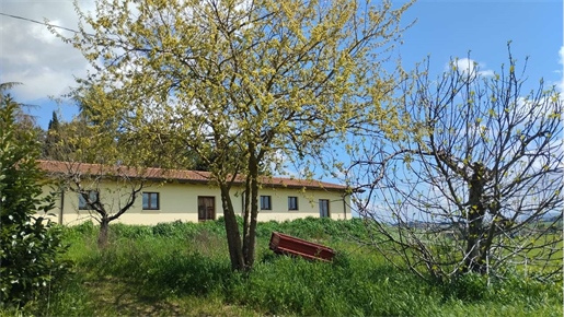 Verkoop Landhuis met grond Pila - Perugia