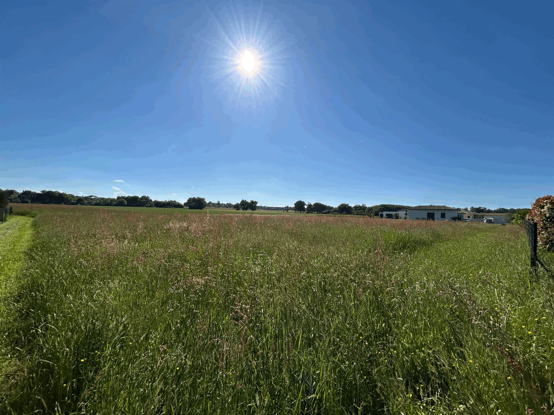 For sale Building plot of 1,884 m2 Pujo-le-Plan