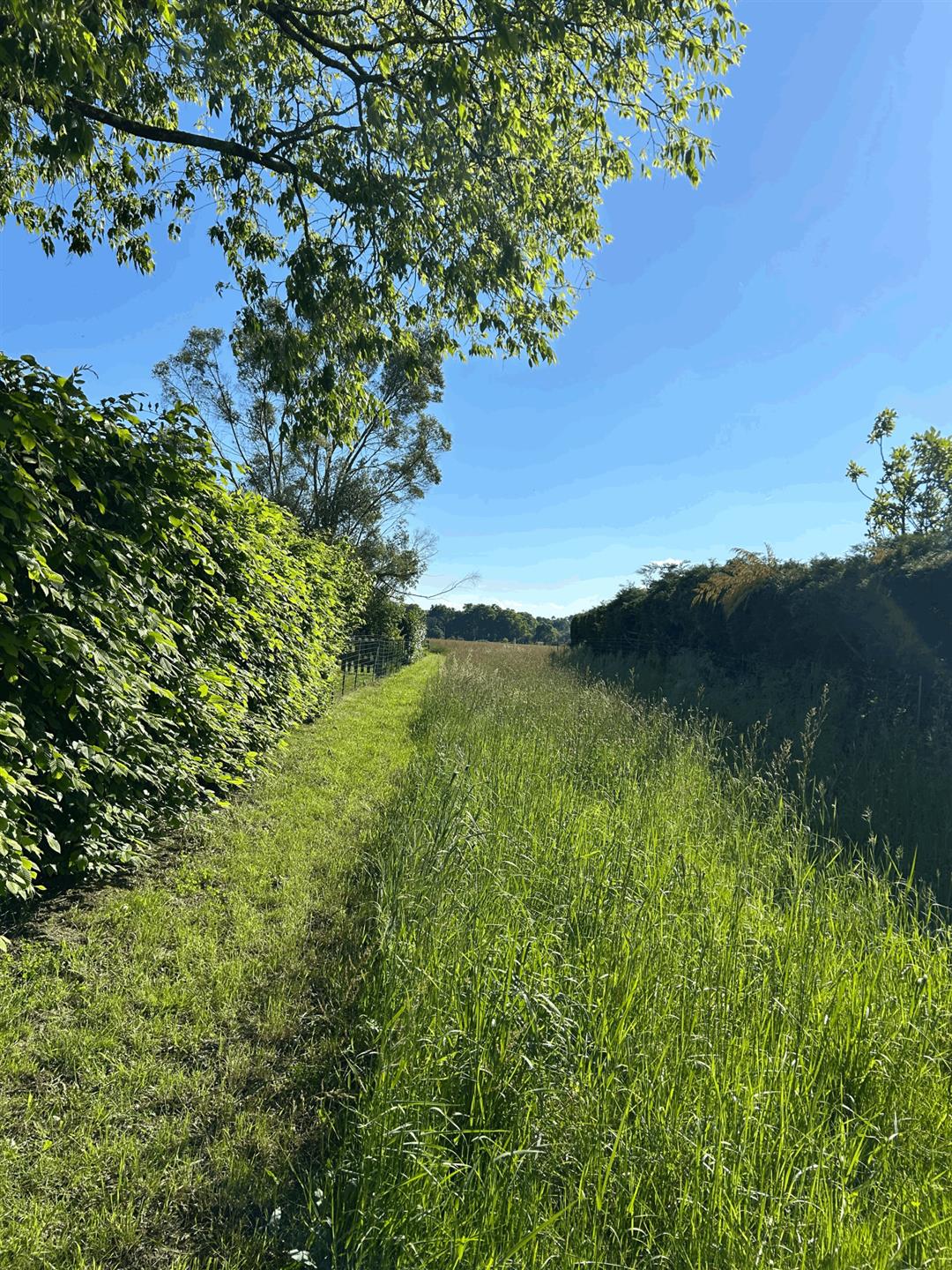 For sale Building plot of 1,884 m2 Pujo-le-Plan