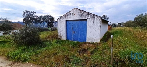 Terrenos de construcción en el Santarém, Coruche