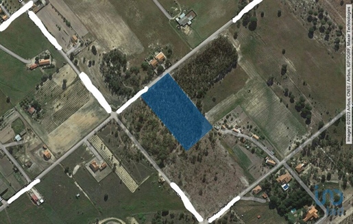 Construction land in Branca with 12500,00 m²