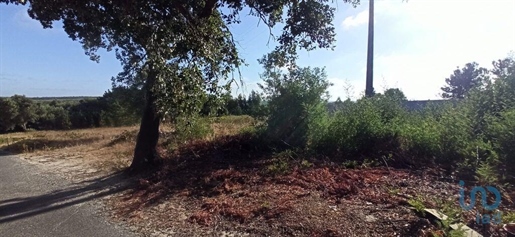 Terrenos de construcción en el Santarém, Coruche