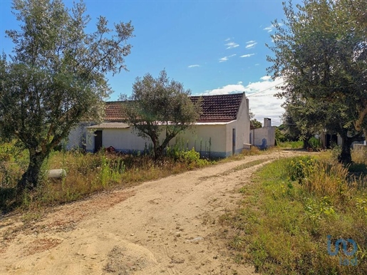 Traditionelles Haus in Coruche, Santarém