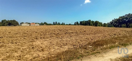 Construction land in Coruche, Fajarda e Erra with 19250,00 m²