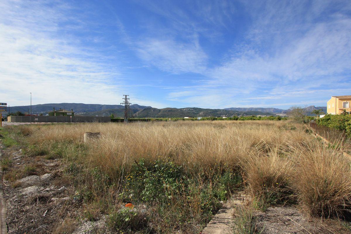 Purchase: Land (03778)