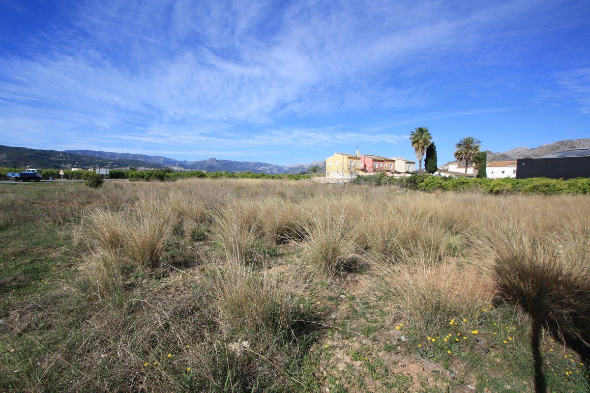 Purchase: Land (03778)