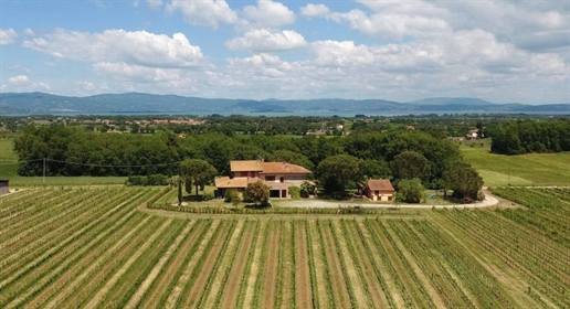 Lanthus/bondgård/innergård på 500 m2 i Castiglione del Lago